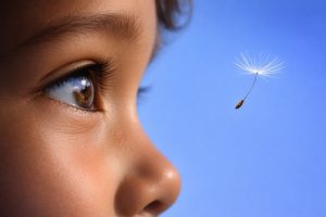 Article image under 1MBvqYe1pj